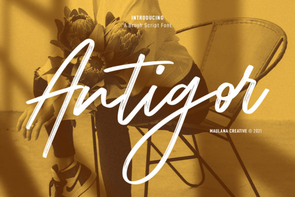 Antigor: A Designer’s Honest Review for Real Branding Work