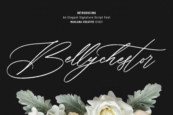 Bellychestor: A Script Font for Elegant Branding