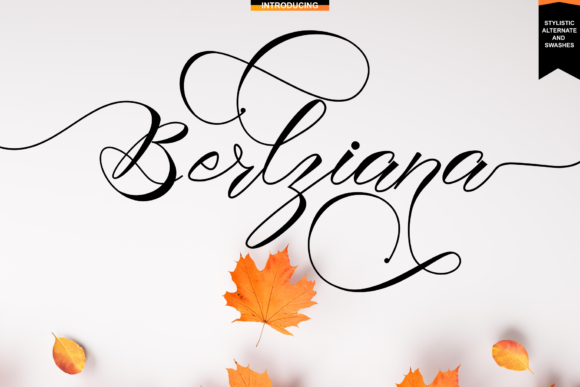 Berlziana: A Designer’s Honest Review
