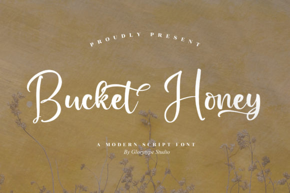 Bucket Honey: A Chic Script Font for Web Design