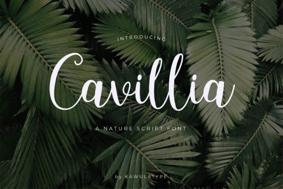 Cavillia: A Modern Script Font for Web Design