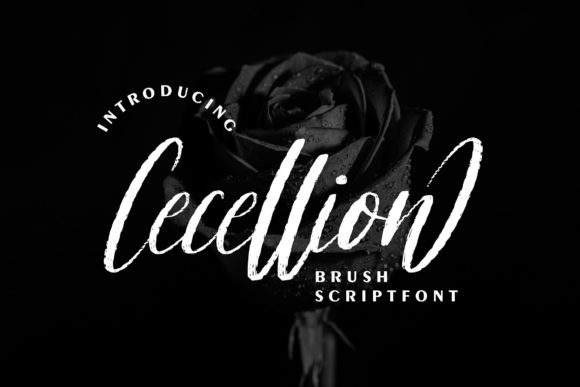 Cecellion: A Designer’s Review of Modern Script Elegance