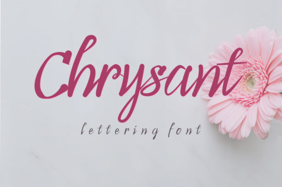 Chrysant Typeface: A Web Designer’s Review