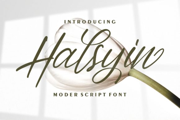 Halsyin: The Handwritten Font That Elevates Campaigns