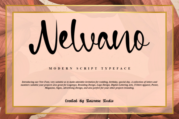 Nelvano: A Designer’s Honest Review
