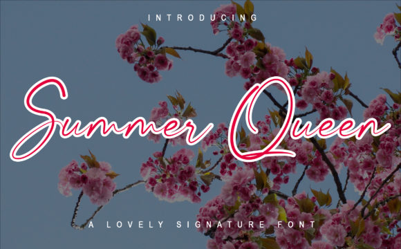 Summer Queen: A Modern Script Font for Editorial Design